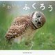 かわいいふくろう [単行本]