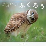 かわいいふくろう [単行本]