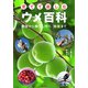 育てて楽しむウメ百科―栽培から梅干し作り、効能まで [単行本]