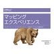 マッピングエクスペリエンス―カスタマージャーニー、サービスブループリント、その他ダイアグラムから価値を創る [単行本]