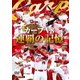 カープV8 連覇の記憶 [DVD]