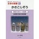 文学の授業〈6〉かさこじぞう―教材分析と全発問 [単行本]