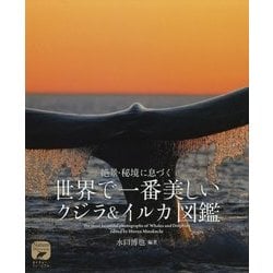 世界で一番美しいクジラ&イルカ図鑑―絶景・秘境に息づく(ネイチャー・ミュージアム) [全集叢書]