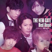 THE NEW GATE