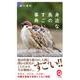 身近な鳥のすごい事典(イースト新書Q) [新書]