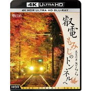 叡電 もみじのトンネルへ【4K HDR】 展望列車きらら (ビコム 4K UHD展望シリーズ)