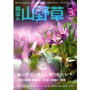 趣味の山野草 2018年 03月号 [雑誌]
