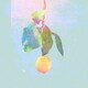 米津玄師／Lemon