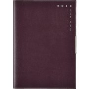 646 ティーズディレクションダイアリー ワイド 2 A5判 [2018年4月始まり]