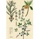 樹木と名字と日本人―暮らしの草木文化誌 [単行本]