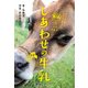 しあわせの牛乳(ポプラ社ノンフィクション〈30〉―生きかた) [単行本]