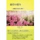 彼岸の悟り―高橋信次先生に捧ぐ [単行本]