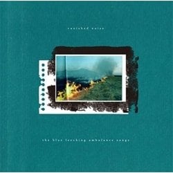 the blue leeching ambulance songs／vanished noise