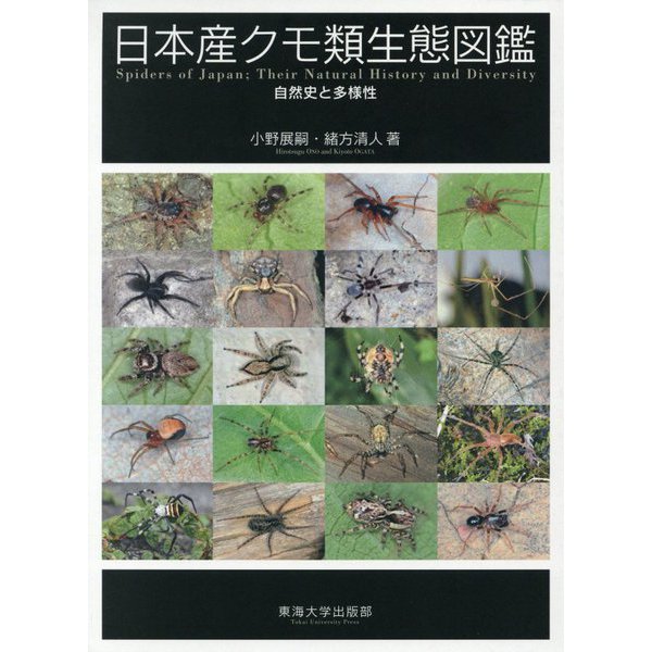 日本産クモ類生態図鑑―自然史と多様性 [図鑑]