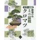 カラー図解 群境介のミニ盆栽 クロマツ 改訂・再編 [単行本]