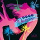 BRADIO／きらめきDancin'