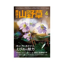 趣味の山野草 2018年 04月号 [雑誌]