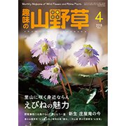 趣味の山野草 2018年 04月号 [雑誌]