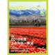 月刊 ビジネスアイエネコ 2018年 03月号 [雑誌]