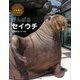がんばるセイウチ（しってる？水族館のにんきもの 3） [絵本]