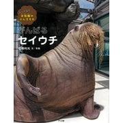 がんばるセイウチ（しってる？水族館のにんきもの 3） [絵本]