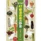 しらべよう！47都道府県の野菜 [全集叢書]