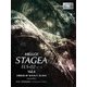 HELLO！STAGEA ELS・02/C/X（G5-3）（6） [単行本]