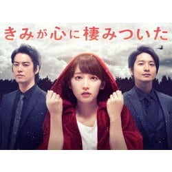 きみが心に棲みついた Blu-ray BOX [Blu-ray Disc]
