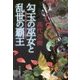 勾玉の巫女と乱世の覇王(時代小説文庫) [文庫]