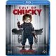 チャイルド・プレイ ～チャッキーの狂気病棟～ [Blu-ray Disc]