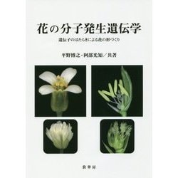 花の分子発生遺伝学―遺伝子のはたらきによる花の形づくり [単行本]