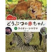 くらべよう!どうぶつの赤ちゃん〈1〉ライオン・シマウマ [全集叢書]