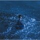 藍井エイル／流星/約束