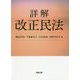 詳解 改正民法 [単行本]