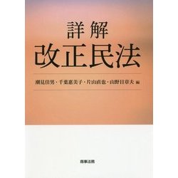 詳解 改正民法 [単行本]