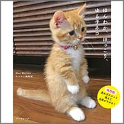 ほんわか、ほっこり、ゆる子ネコ [単行本]