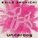 EXILE SHOKICHI／Underdog