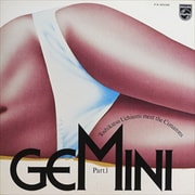 GEMINI PART Ⅰ