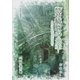 宮崎駿の地平―ナウシカからもののけ姫へ 新版 (新典社選書) [全集叢書]
