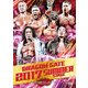 DRAGON GATE 2017 SUMMER STAGE [DVD]