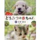 くらべよう!どうぶつの赤ちゃん〈7〉イヌ・ネコ [全集叢書]