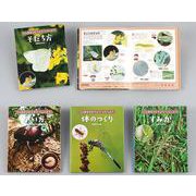 こん虫をそだてよう・しらべよう(全4巻) [ムック・その他]