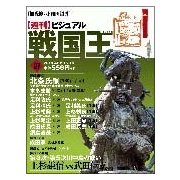 ビジュアル戦国王 2018年 5/15号 [雑誌]