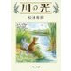 川の光(中公文庫) [文庫]