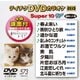 テイチクDVDカラオケ スーパー10 W [DVD]