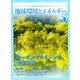 月刊 ビジネスアイエネコ 2018年 05月号 [雑誌]