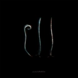 a crowd of rebellion／Ill