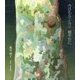 今日もルンルン穏やかに [単行本]