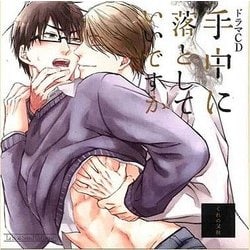 ルボー・サウンドコレクション ドラマCD 手中に落としていいですか [CD]