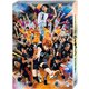 ハイパープロジェクション演劇「ハイキュー!!」"はじまりの巨人" [Blu-ray Disc]